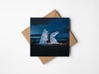 Greeting Cards (Starter Pack)