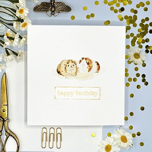 Happy Birthday - Guinea Pigs