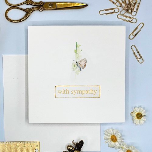 Sympathy - Butterfly