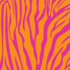 CKEKKERS GIFTWRAP
