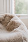 Waste Less Sheepskin Bean Bag