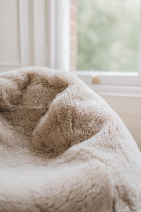 Waste Less Sheepskin Bean Bag