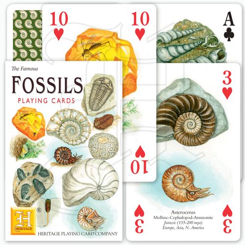 Fossils Playing Cards