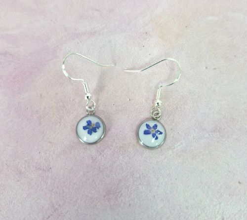 Small Real Dried Forget Me Not Earrings