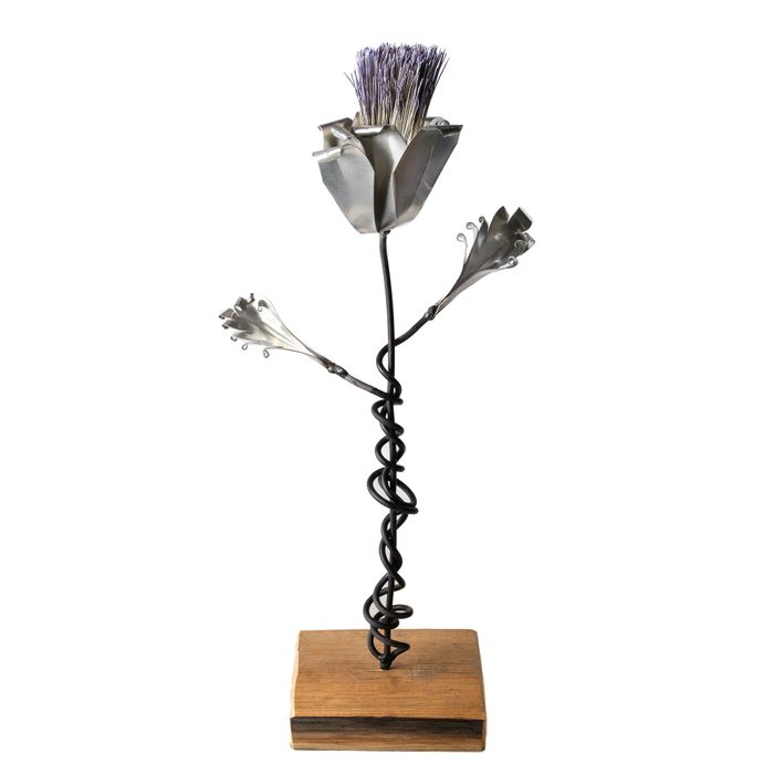 Small Standing Thistle