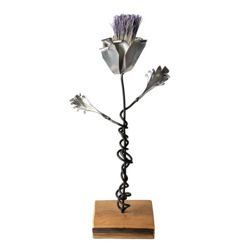 Large Single Thistle