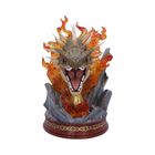 Harry Potter Hungarian Horntail Bust 30cm