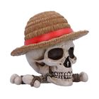 One Piece Luffy Jolly Roger Box