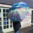 Umbrellas - New product for 2026 trade