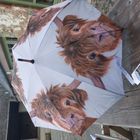 Umbrellas - New product for 2026 trade