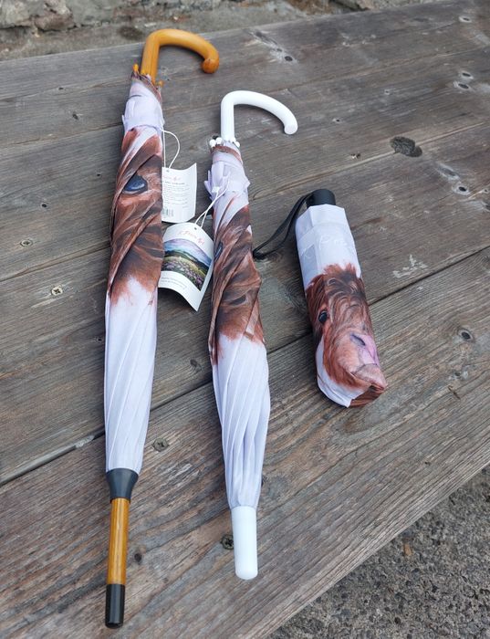 Umbrellas - New product for 2026 trade