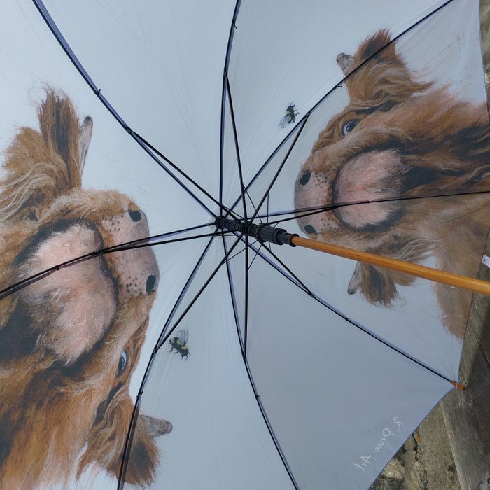 Umbrellas - New product for 2026 trade