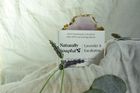 Lavender & Eucalyptus Soap Bar