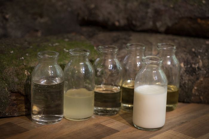 The Original Goat Soap