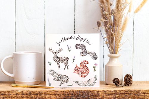 NEW Scottish Wildlife Cards & Magnets