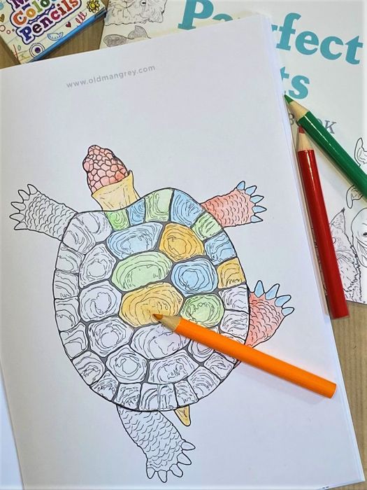 Colouring Book - A5 - Pawfect Pets