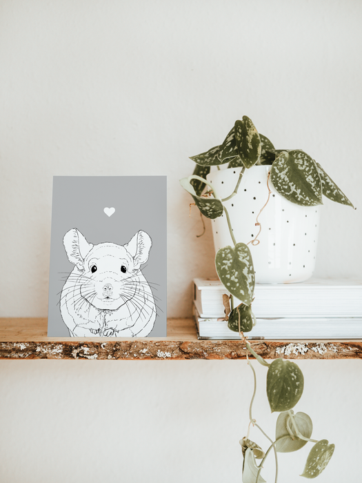 Greetings Card - A6 - Chinchilla