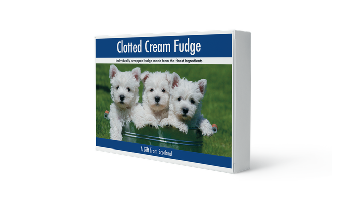 Fudge & Biscuit Boxes