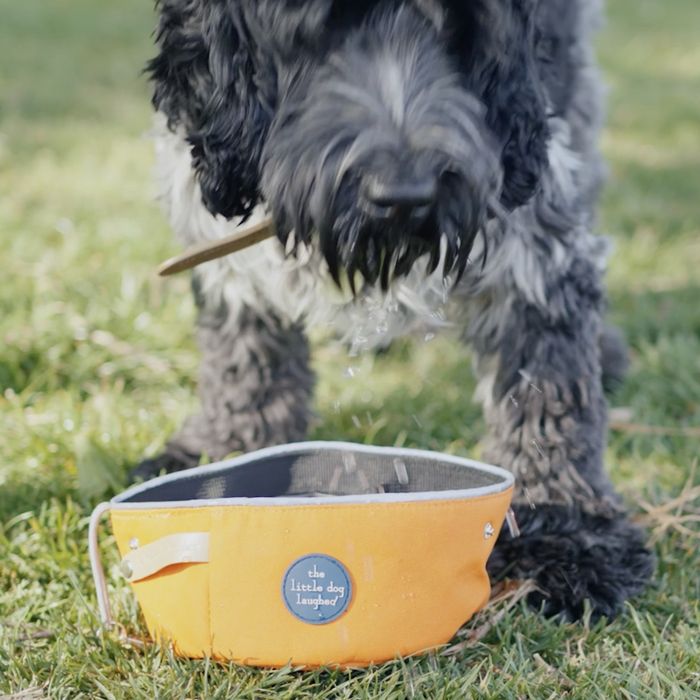 Folding Travel Bowls | New for 2026