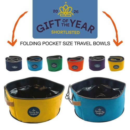 Folding Travel Bowls | New for 2026