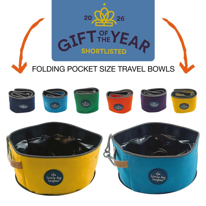 Folding Travel Bowls | New for 2026