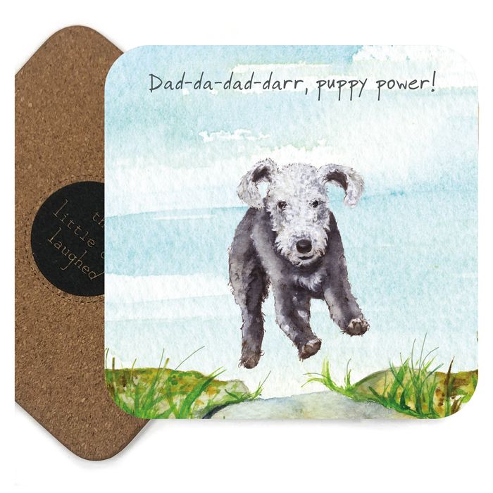 Coasters | New for Spring 26