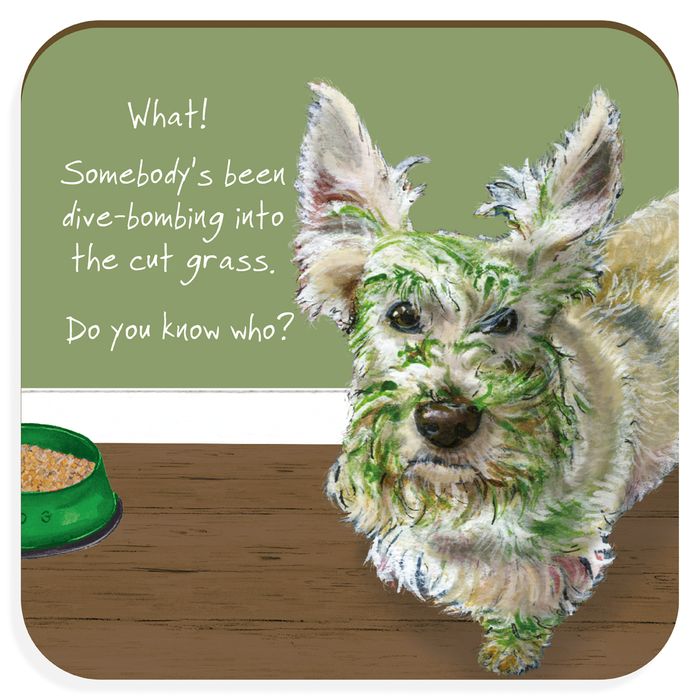 Coasters | New for Spring 26