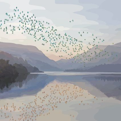 337C starling murmuration