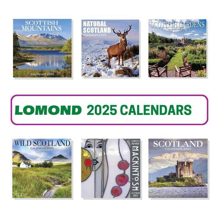 D20 2025 Calendar Cyndi Marchelle