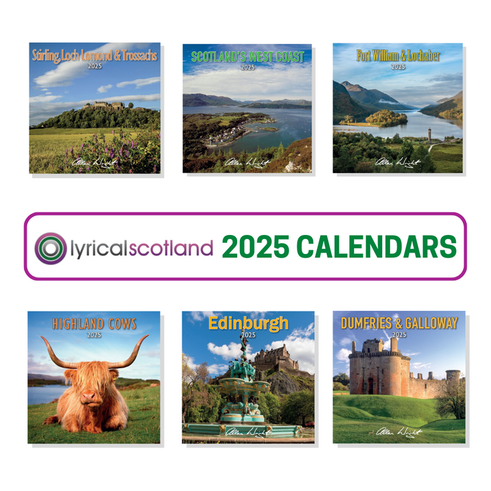 D20 2025 Calendar Cyndi Marchelle
