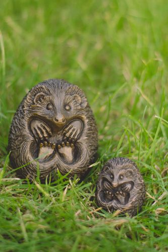 Hedgehogs