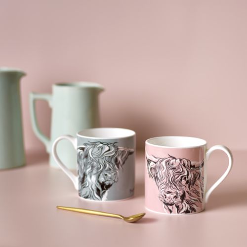Coloured Mugs