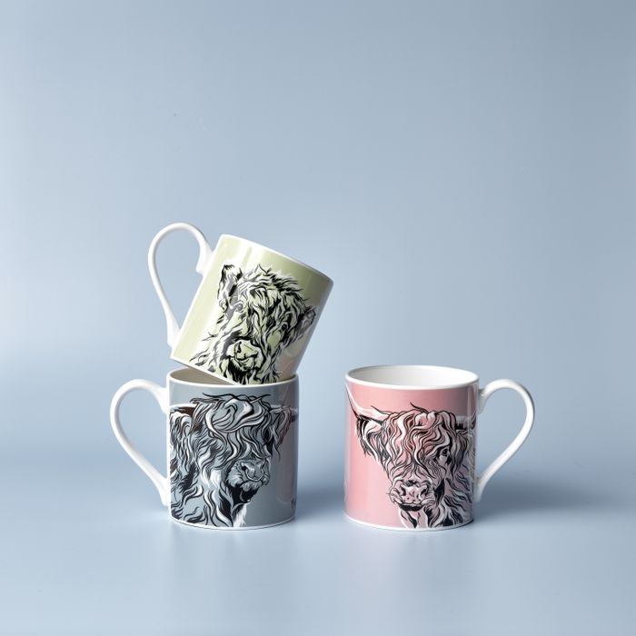 Coloured Mugs