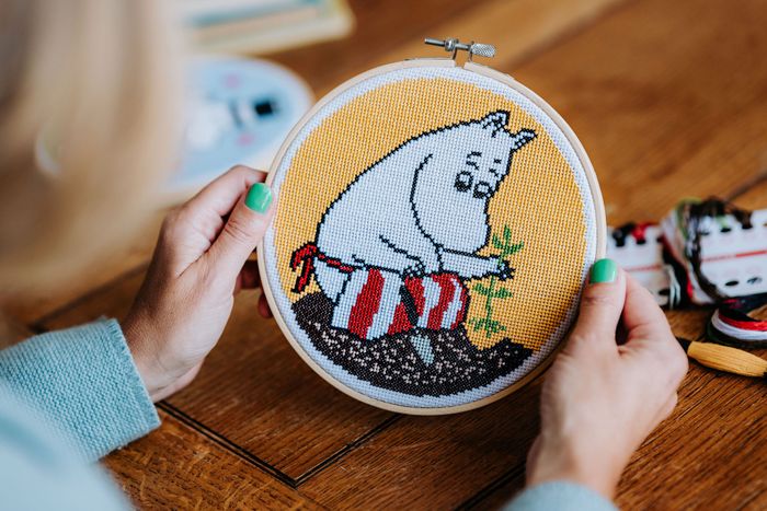 Moomin Kits