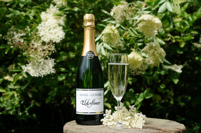 Sparkling Elderflower Drink