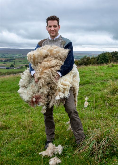 Traceable Yorkshire Hand Knit Clapdale Wool