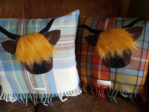 50cm Square Tartan Cushions