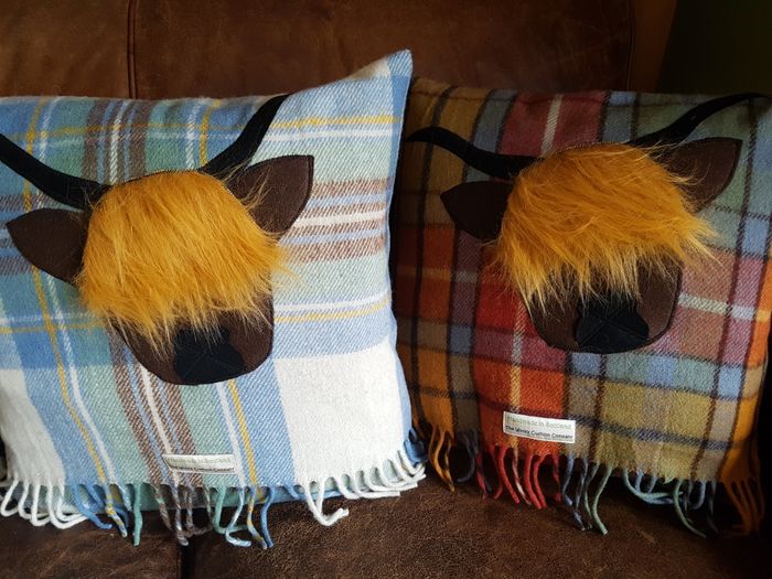50cm Square Tartan Cushions