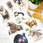 'WILDLIFE OF SCOTLAND' Tea Towel -BEST SELLER