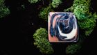 Grounding Soap Bar