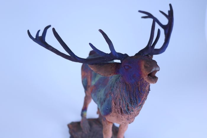 Red Deer Stags