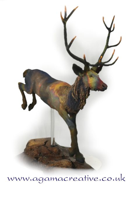 Red Deer Stags