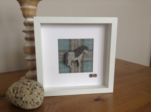 Tweed Shetland Pony Picture