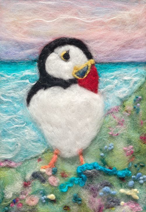 Brough of Birsay Puffin