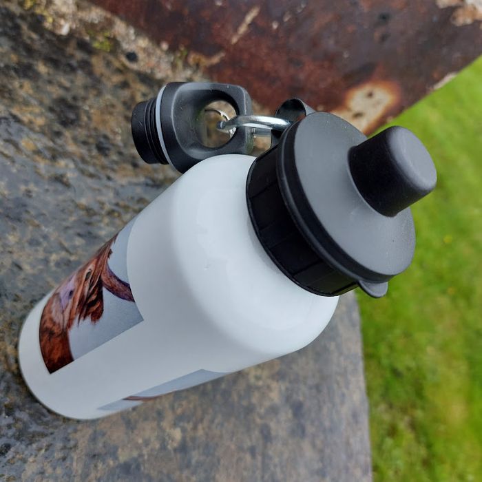 Brand new Aluminium water Bottles