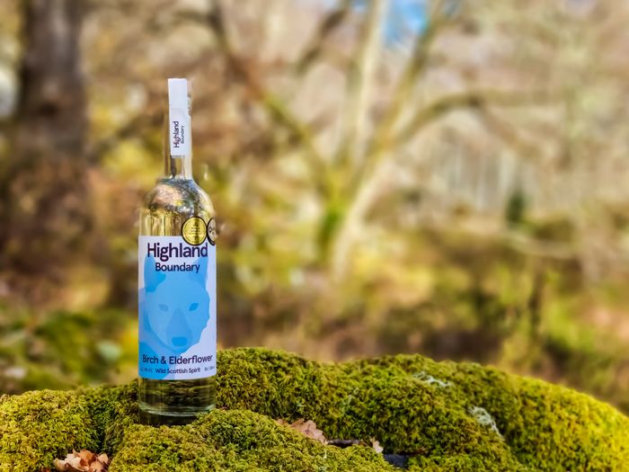 Birch and Elderflower Wild Scottish Spirit