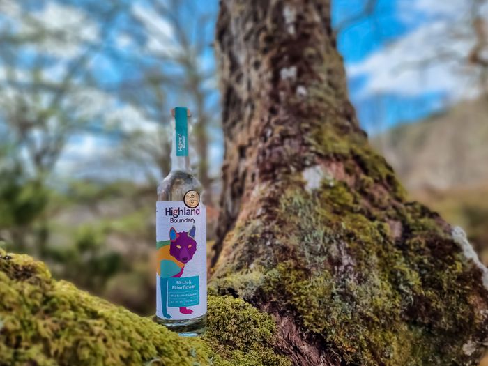 Birch and Elderflower Wild Scottish Liqueur
