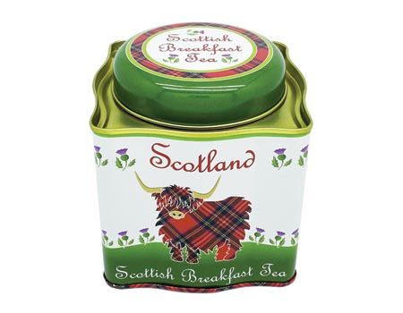 Highland Cow Tea Caddy