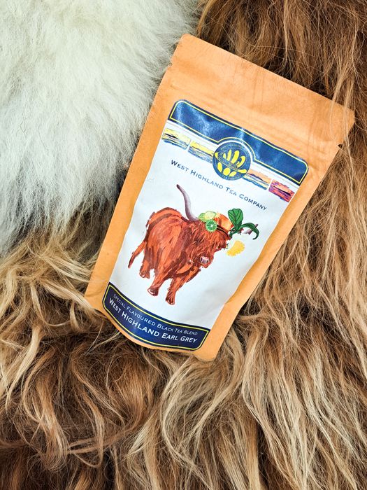 West Highland Earl Grey