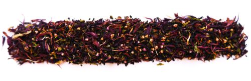 West Highland Earl Grey